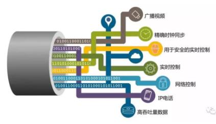 TIM截圖20181228143951.jpg